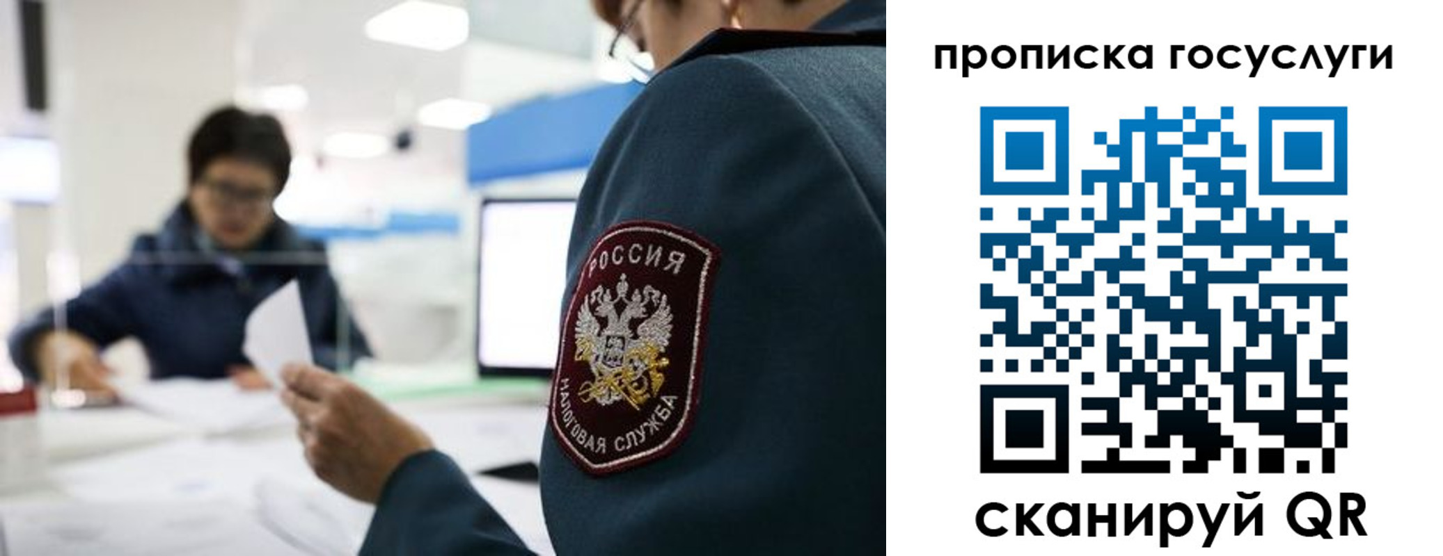 регистрация для школы в Петропавловске-Камчатском